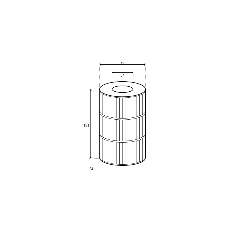 Cartouche MASTER Spas - D98/H181 (PLEATCO)