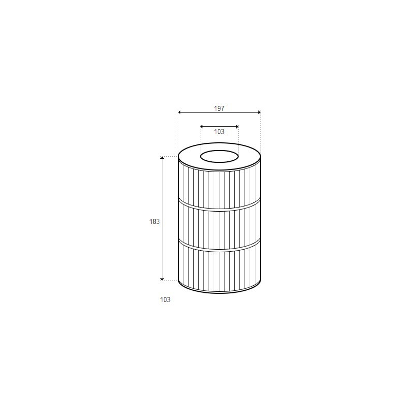 Cartouche Master Spas - D197/H183 (PLEATCO) 