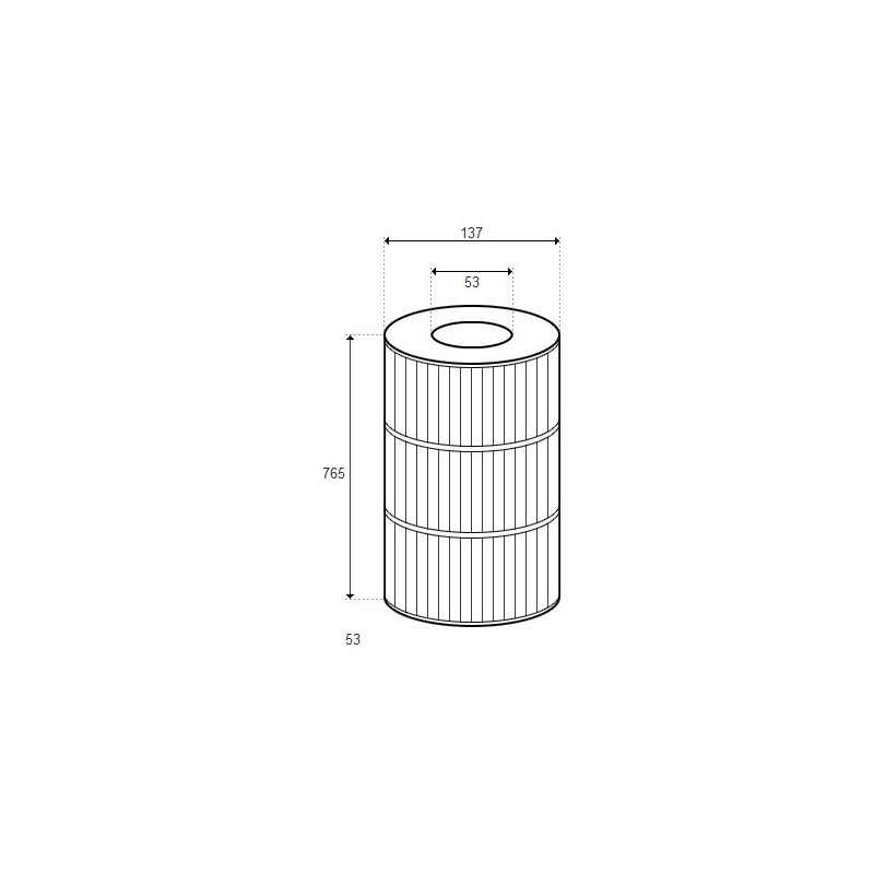 Cartouche Coast Spas, Waterway Plastics H.765/D.137 (PLEATCO) - PCST120