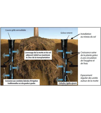 Système d'arrosage des racines Série RWS - RAIN BIRD